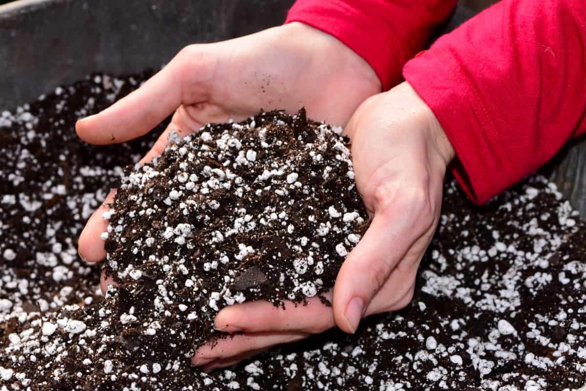 How to Prepare Potting Soil for Containers