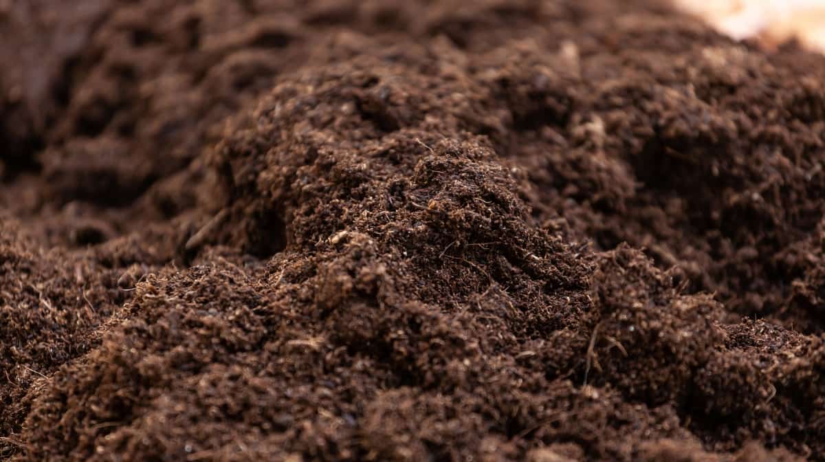Clean Potting Soil for Cultivation