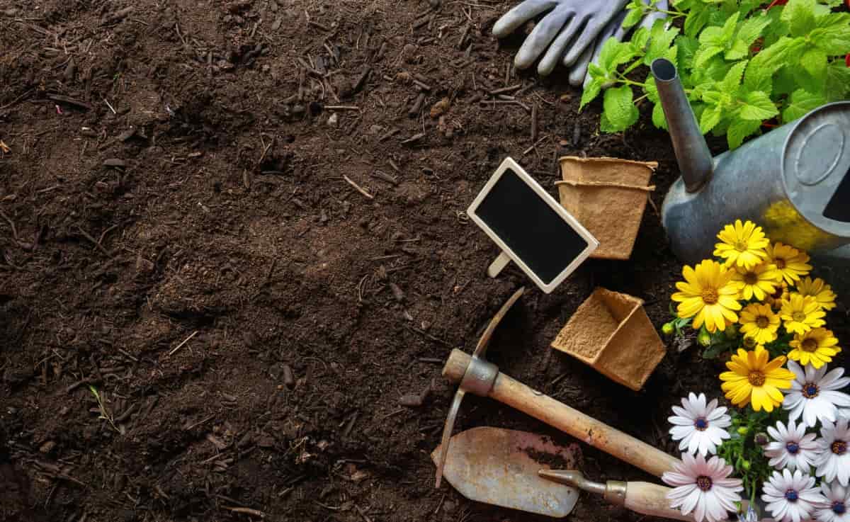 How to Prepare the Best Soil for Your Flower Garden
