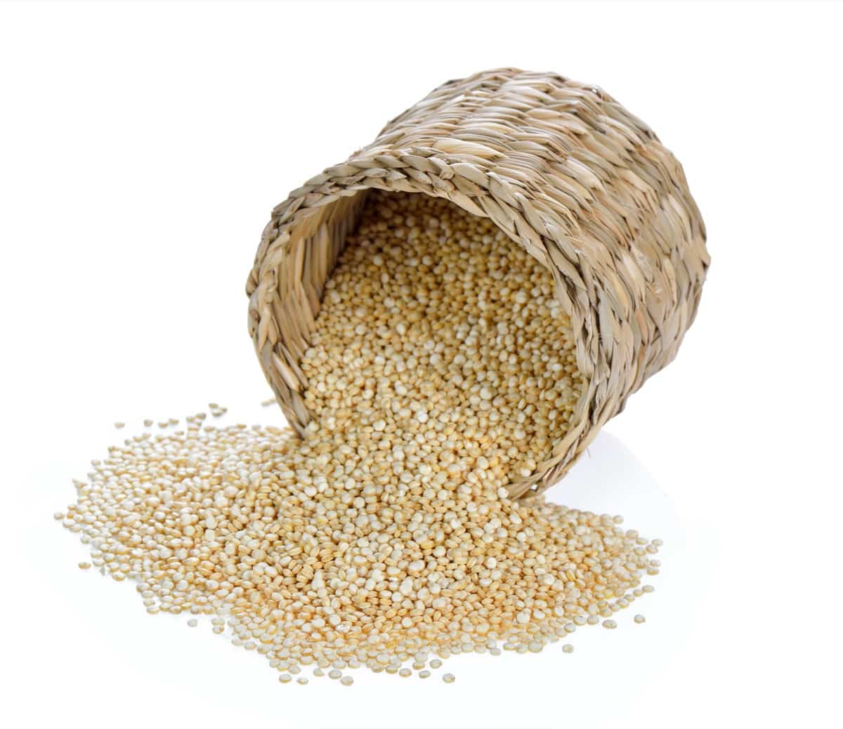 Project Report of Quinoa Farming1