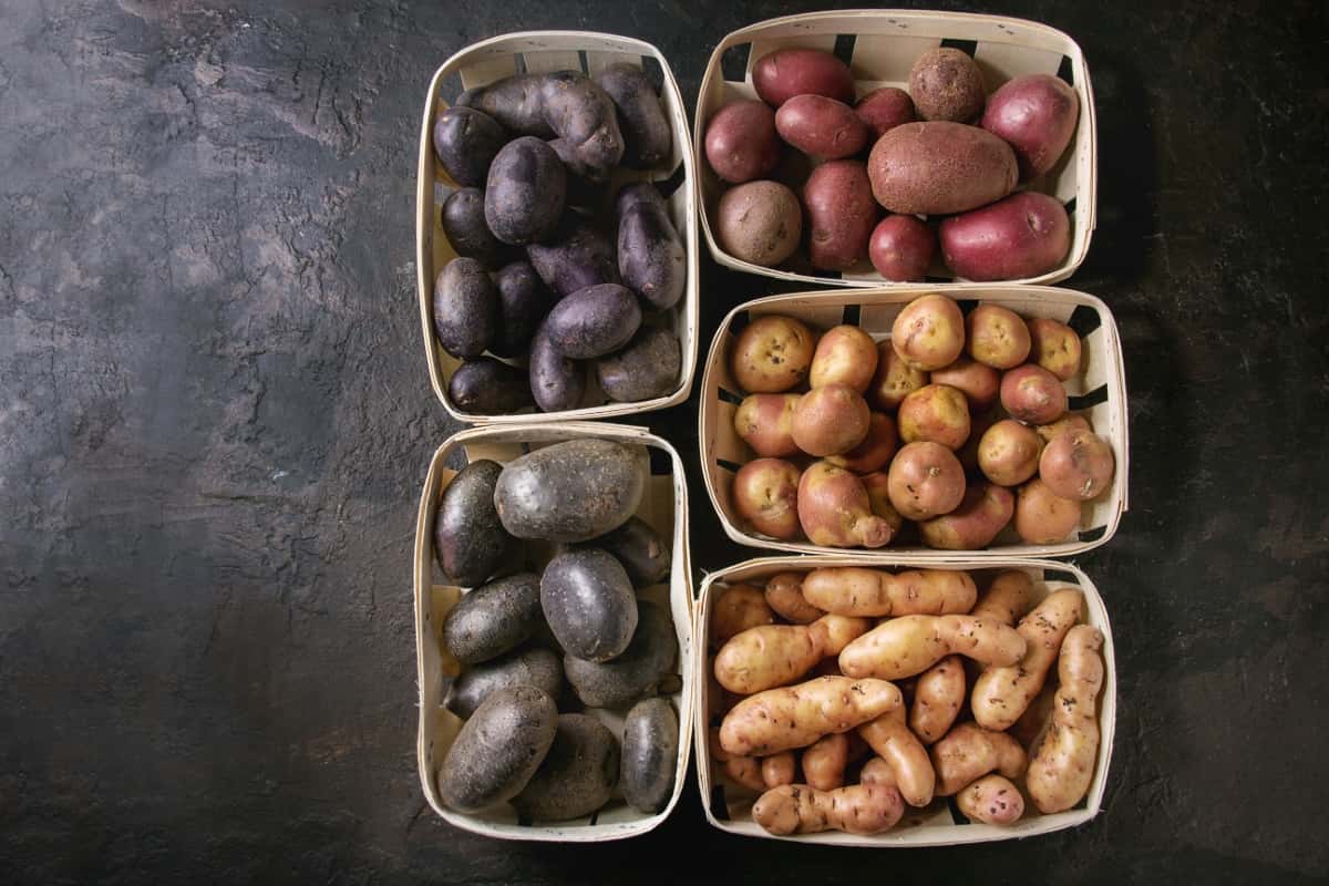 Variety of Raw Potatoes