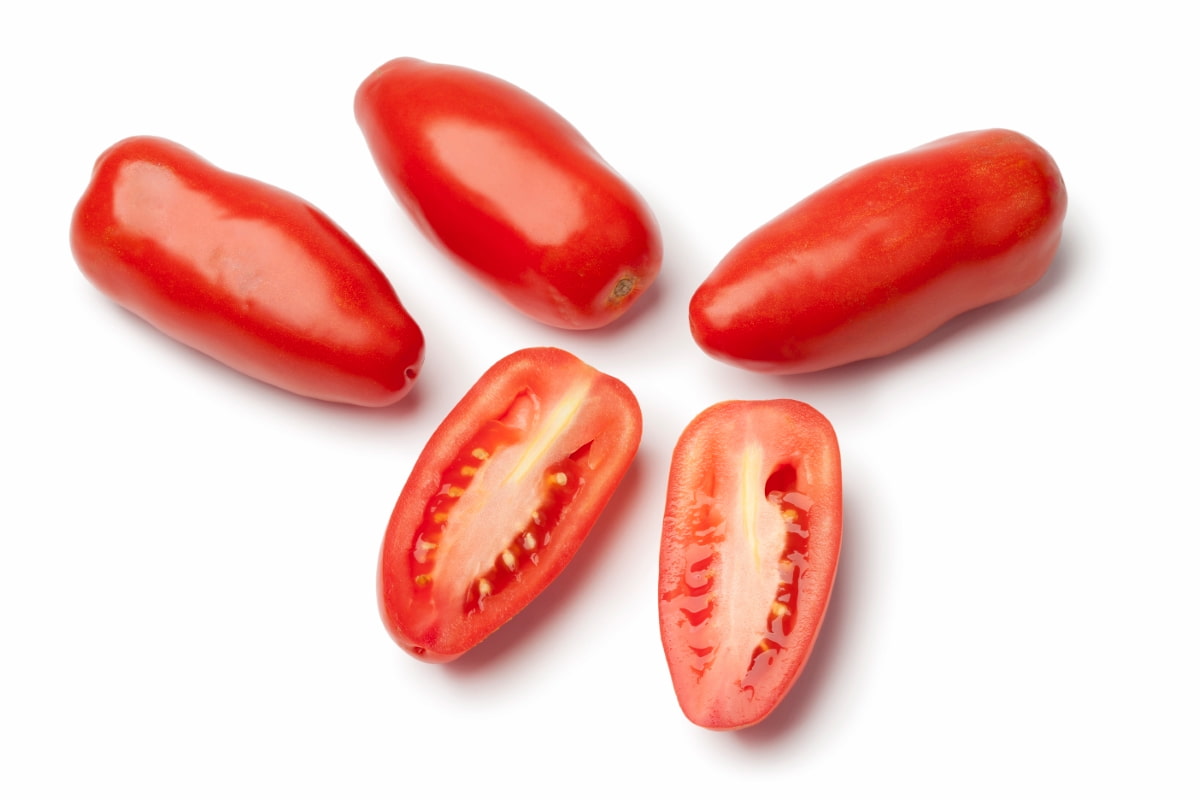 10 Best Sauce Tomato Varieties