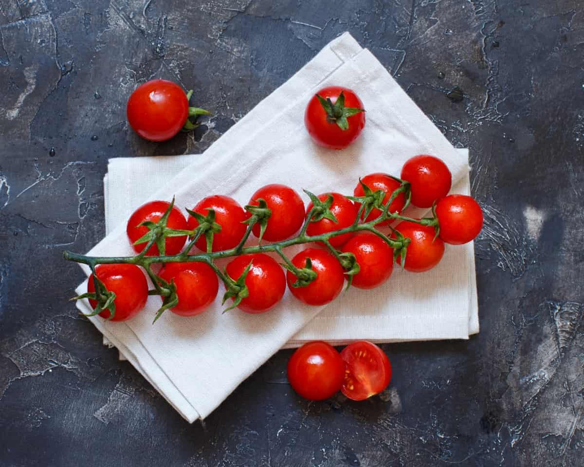 11 Best Salad Tomato Varieties