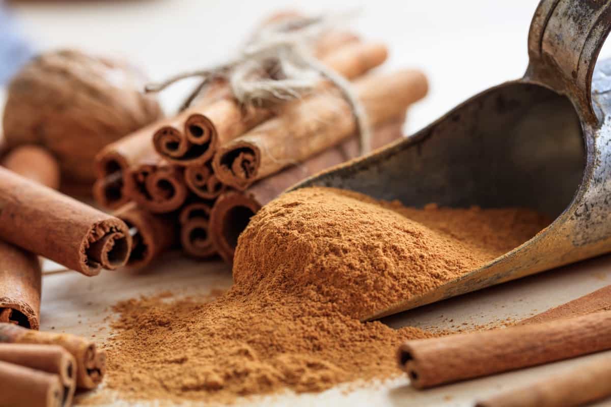 Benefits of Cinnamon Powder on Plants