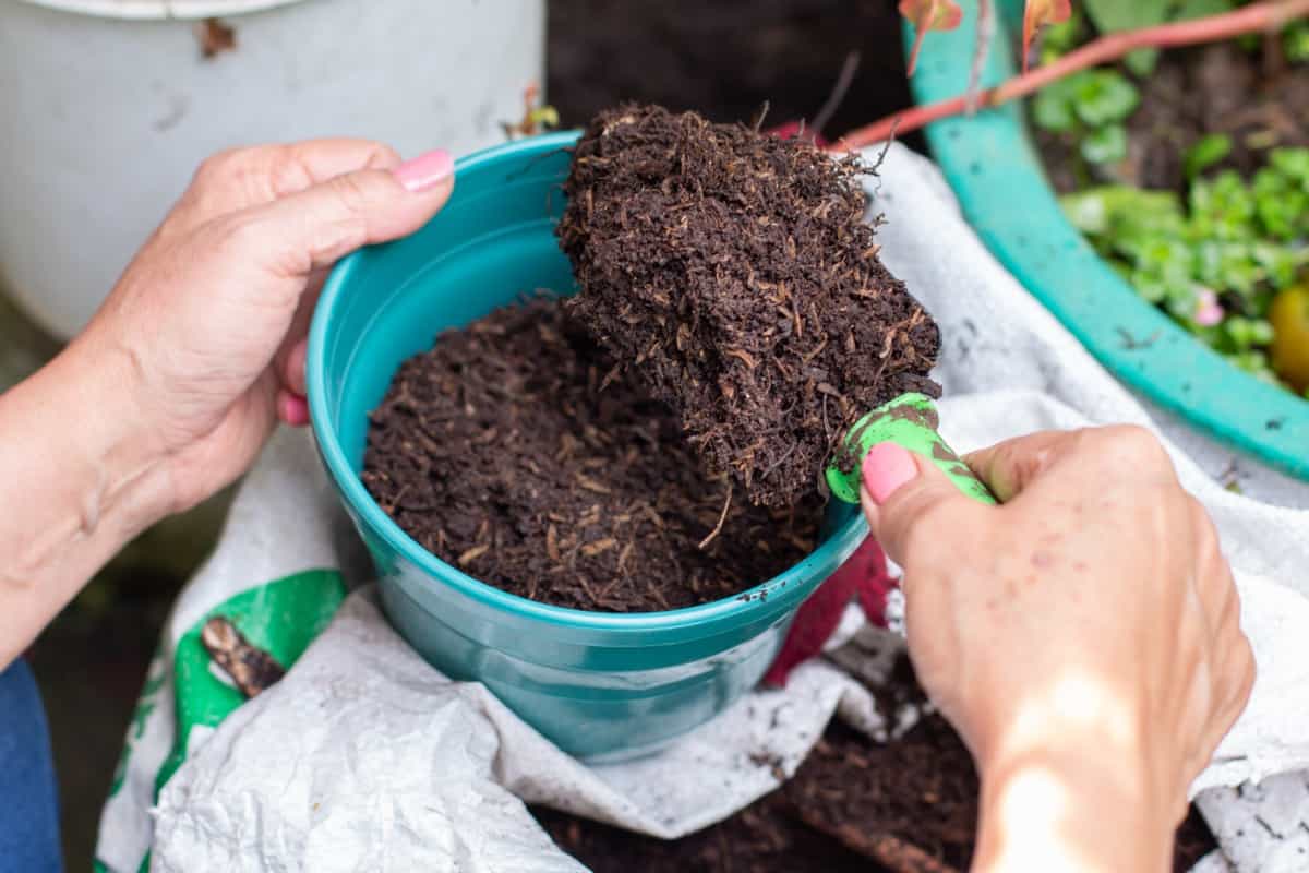Compost for Home Garden