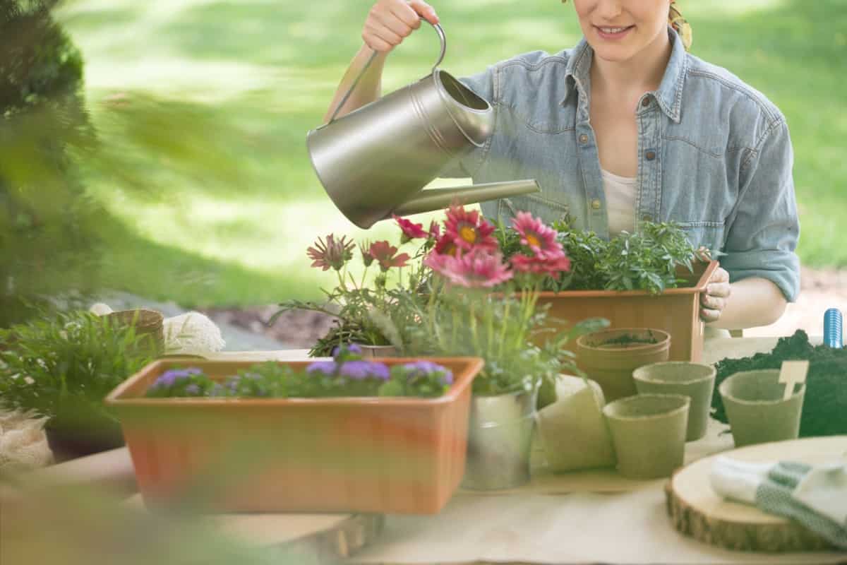 Watering Garden Pots