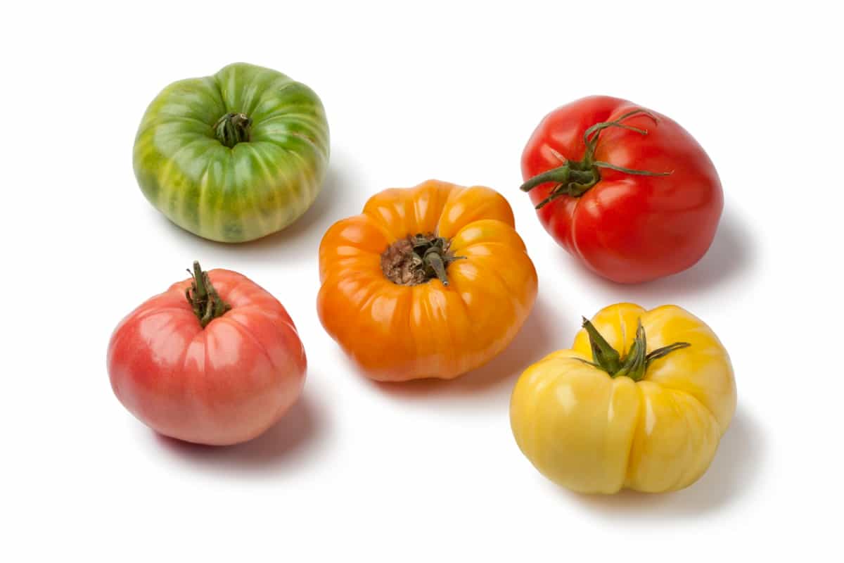 Beefsteak Tomato Varieties for New Jersey