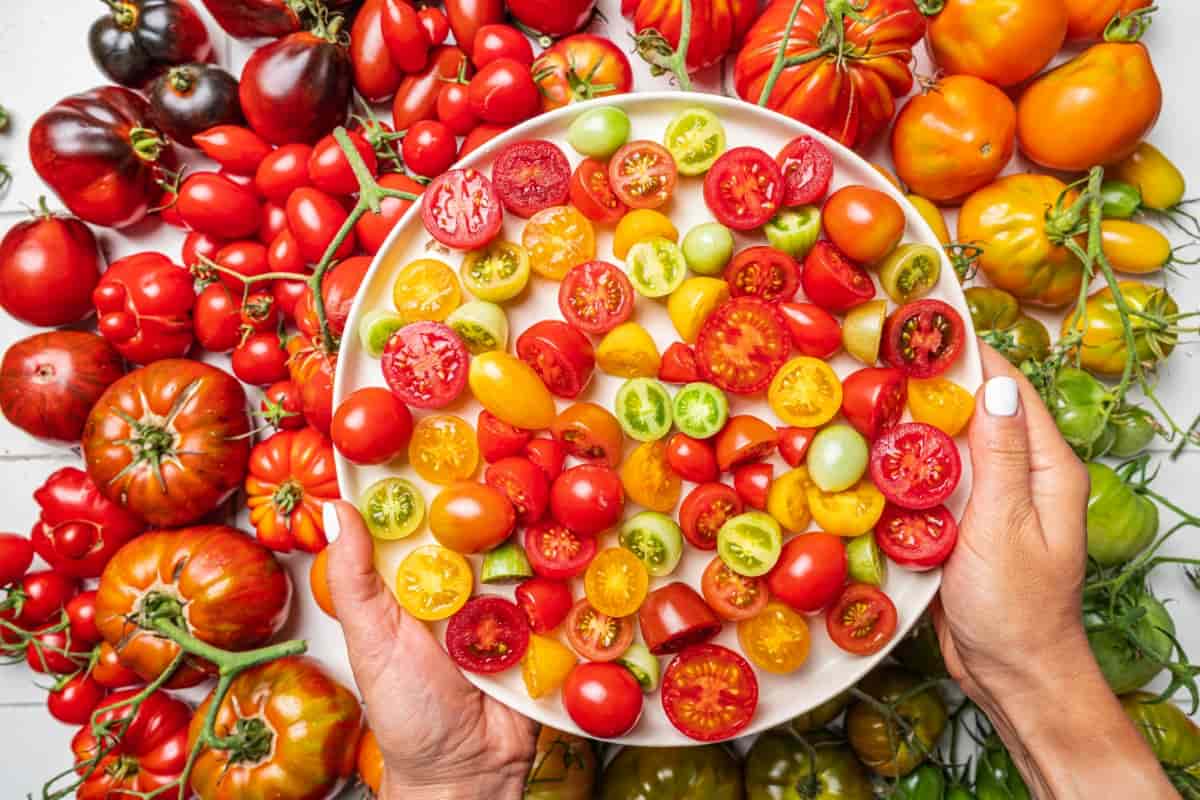 Best Tasting Tomatoes to Grow in Tennessee