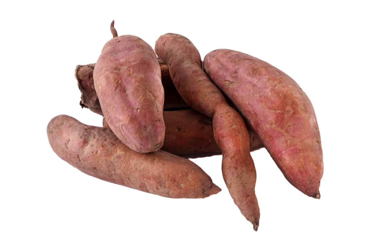 Harvested Sweet Potatoes