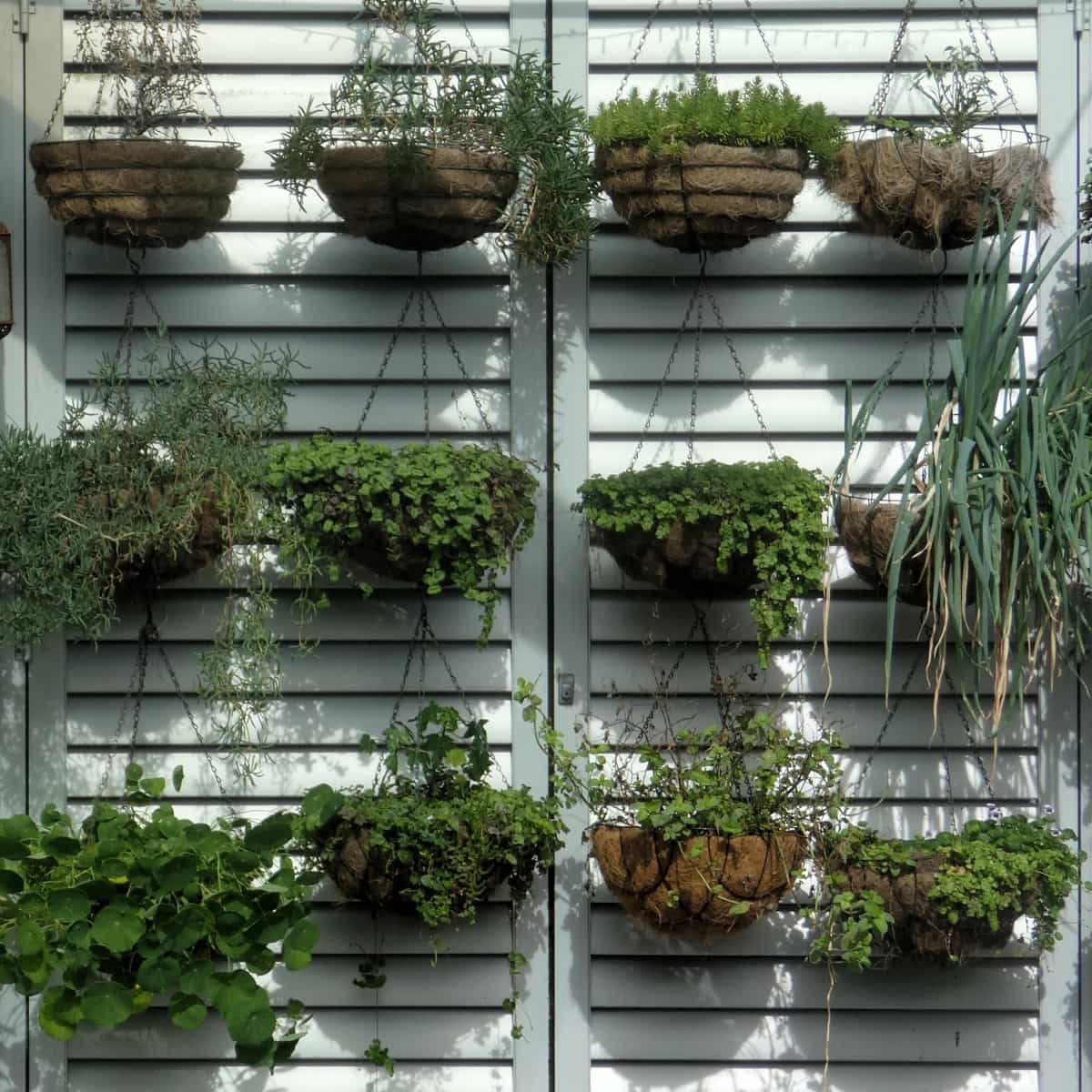 Gardening Tips for Indoor Plants
