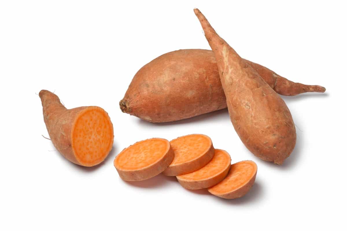 Freshly Harvested Sweet Potatoes