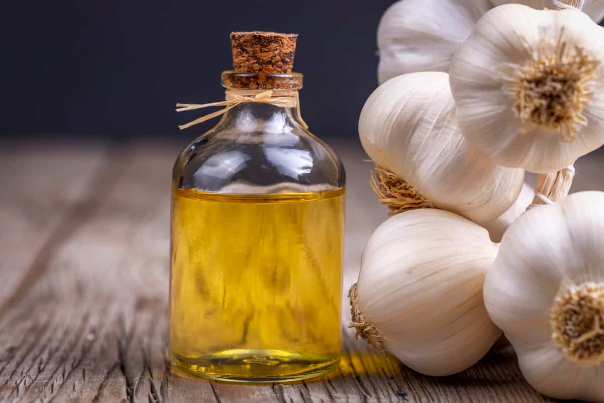 Homemade DIY Garlic Spray for Pests