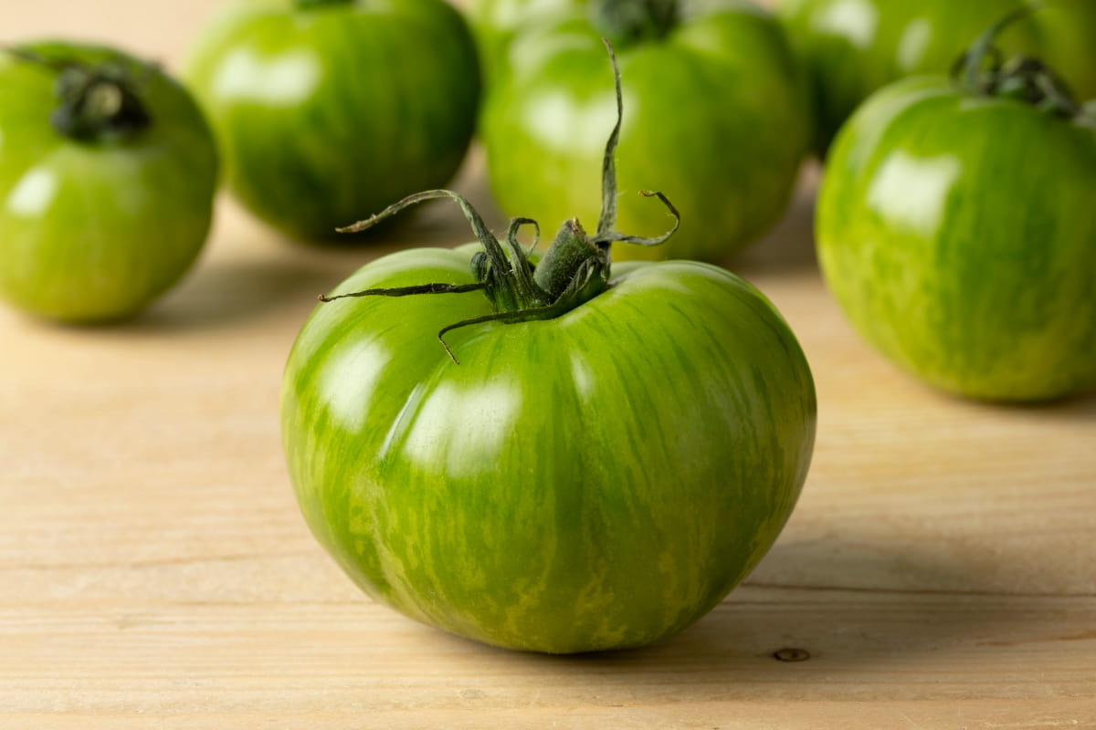 How to Grow and Care for Green Zebra Tomatoes