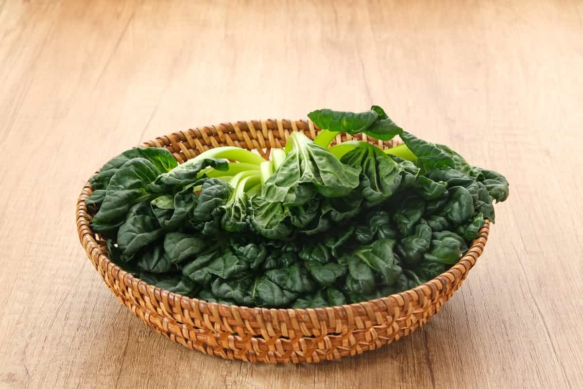 How to Grow and Care for Organic Misome Greens