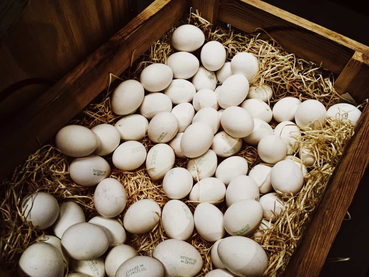 Chicken Eggs in Wooden Box