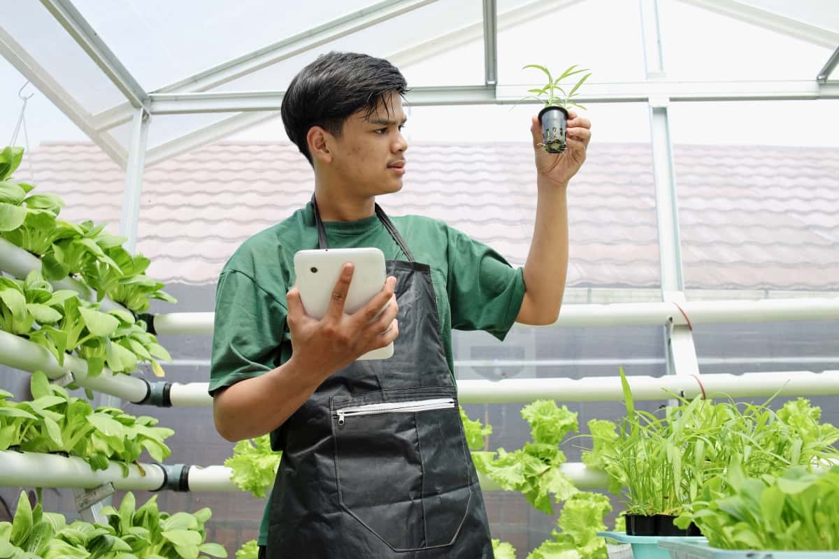 Maintaining Hydroponics with Technology