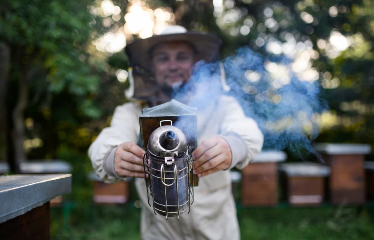 10 Best Bee Smokers for Beekeepers 