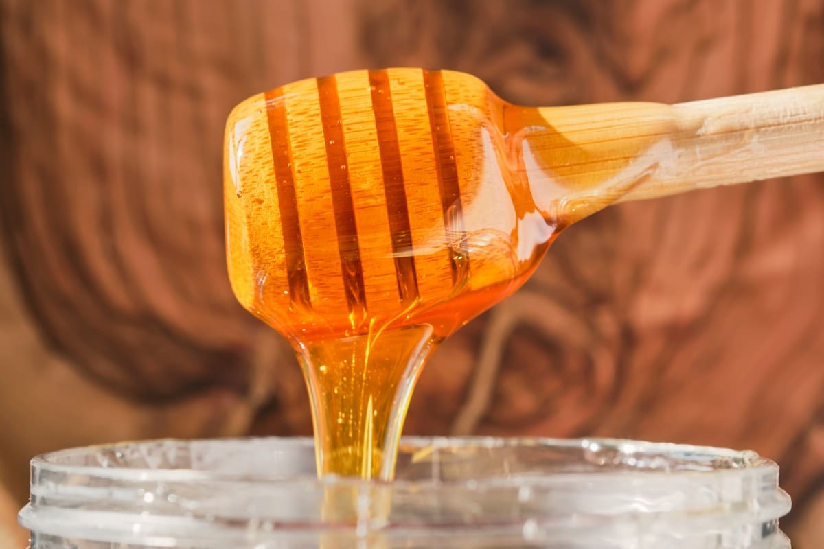 15 Best Honey Farms and Apiaries in California
