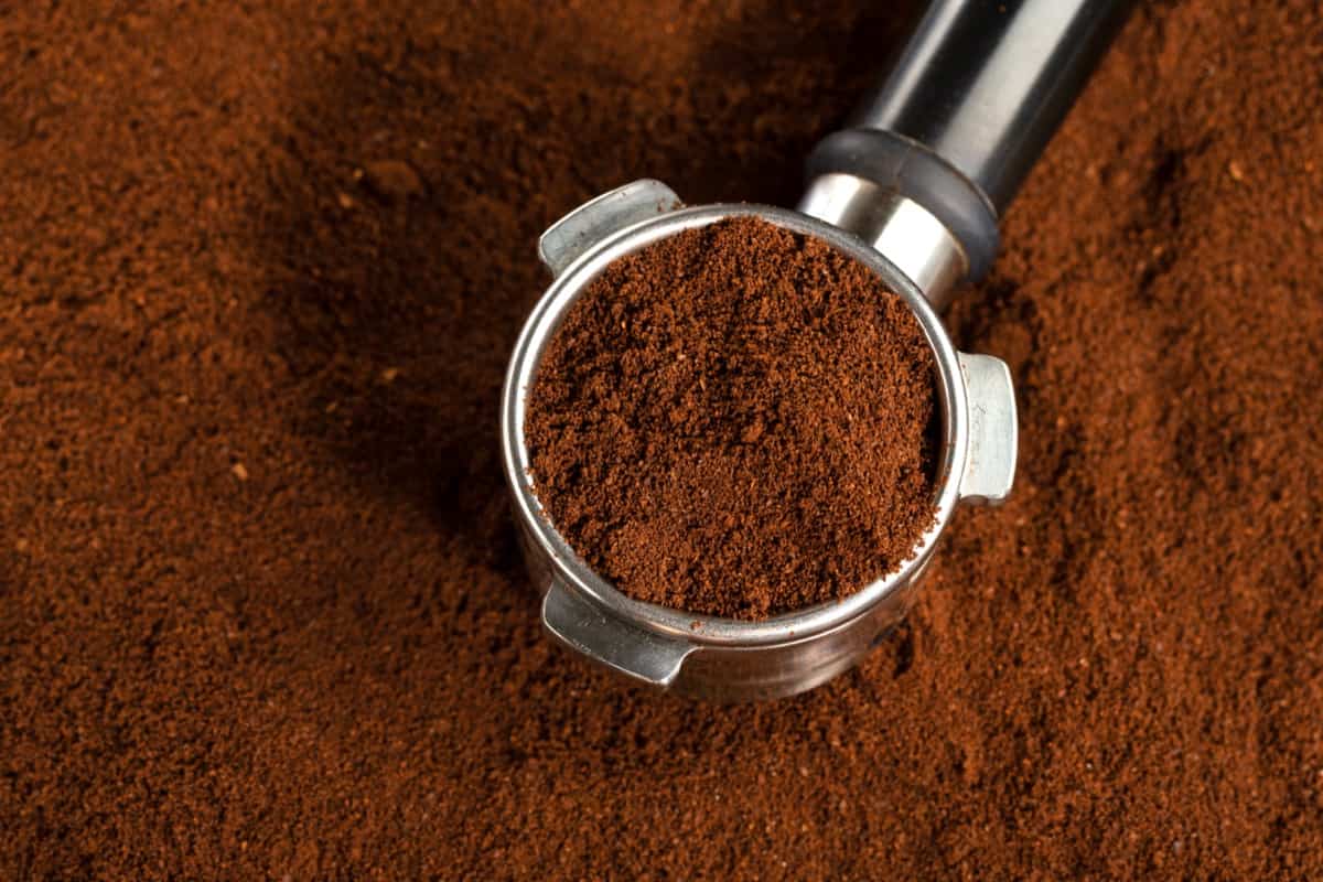 Are Coffee Grounds Good for Tomato Plants?