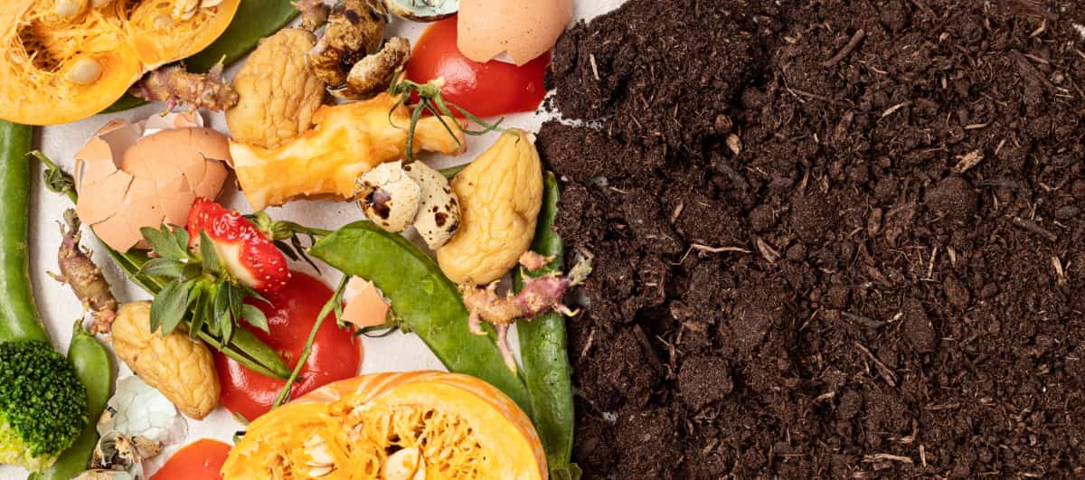 Benefits of Lomi Compost