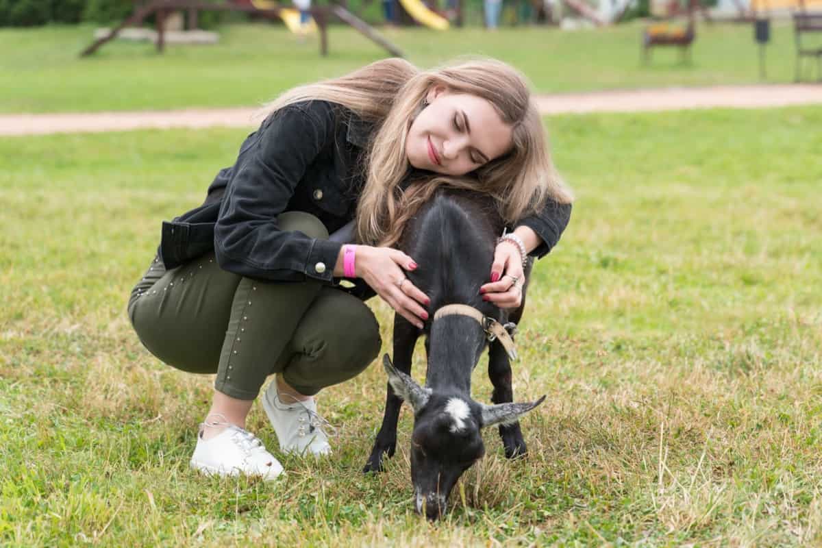 Playing with Goat