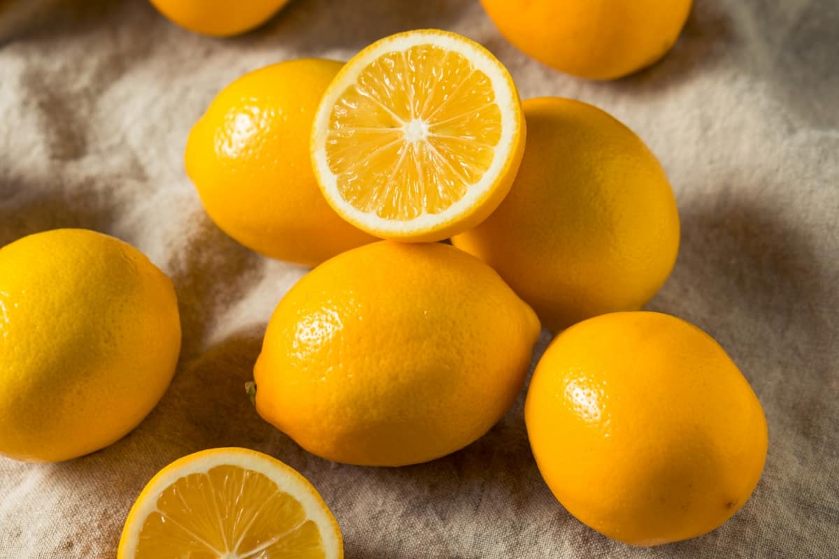 Best Lemon Varieties to Grow in Your Garden
