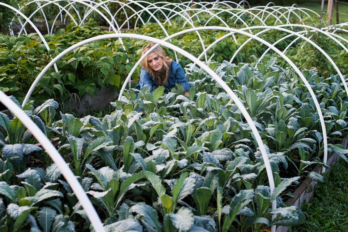 Best Vegetables to Grow in North Carolina