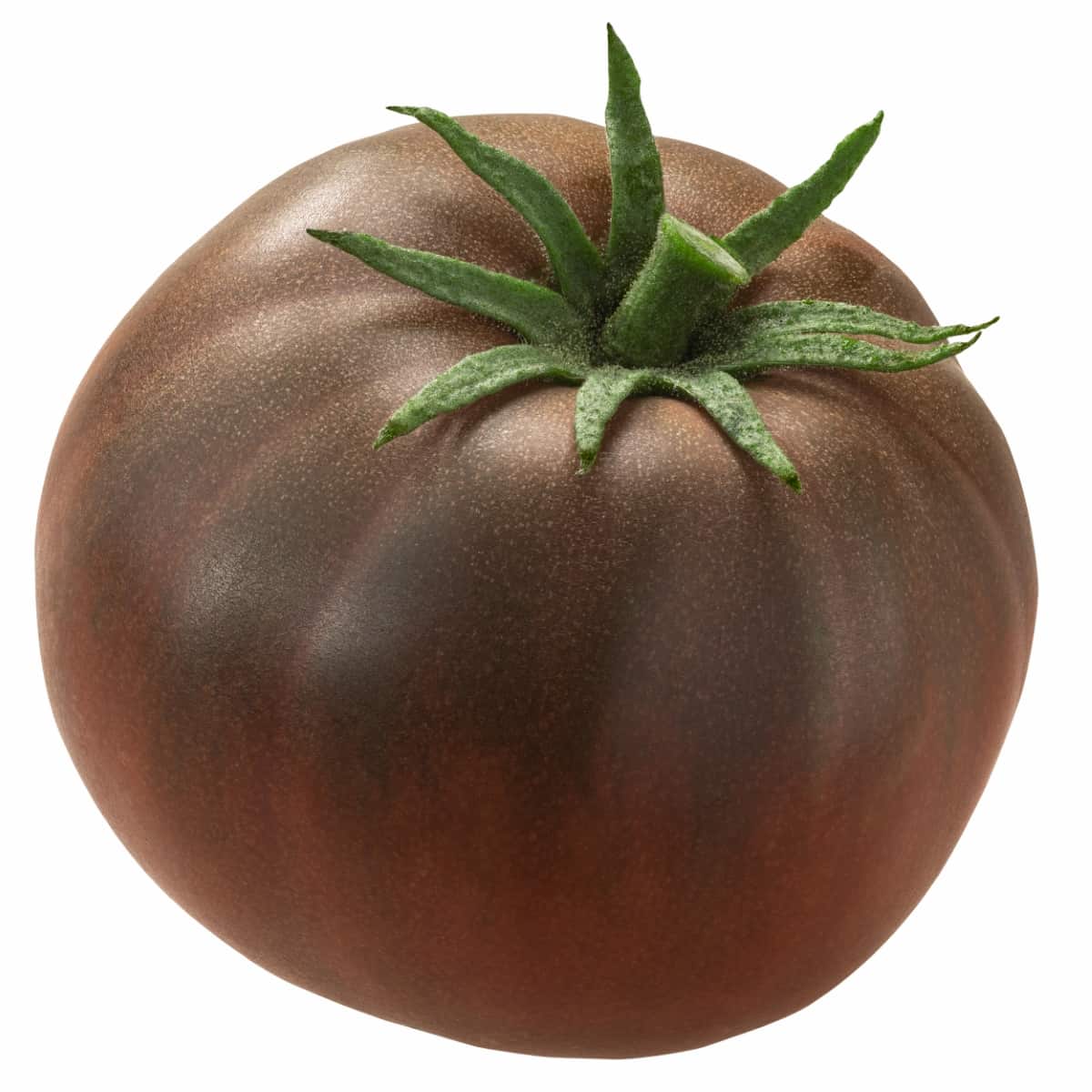 Black Krim Ribbed Tomato 
