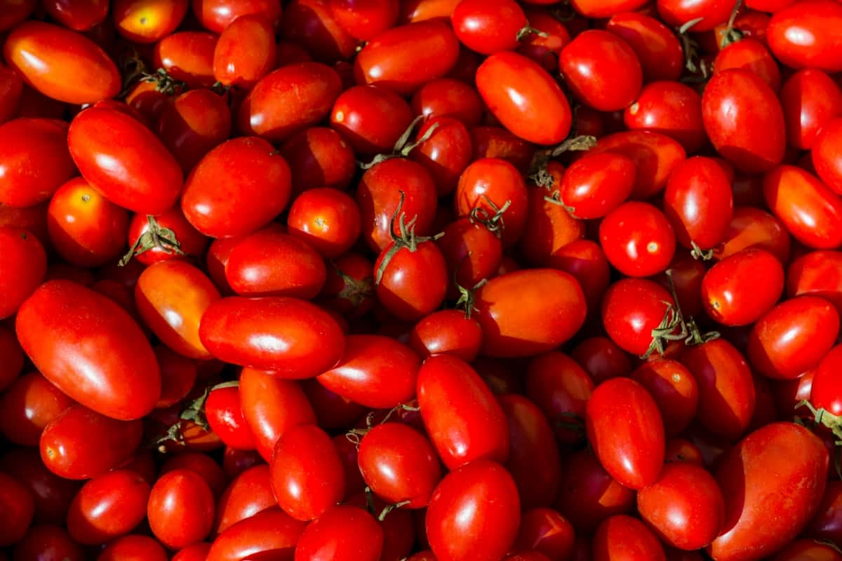 How to Grow Grape Tomatoes