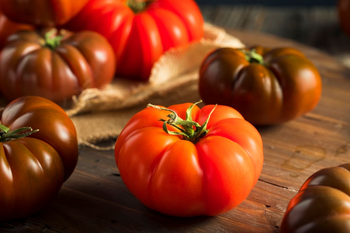 How to Grow Heirloom Tomatoes
