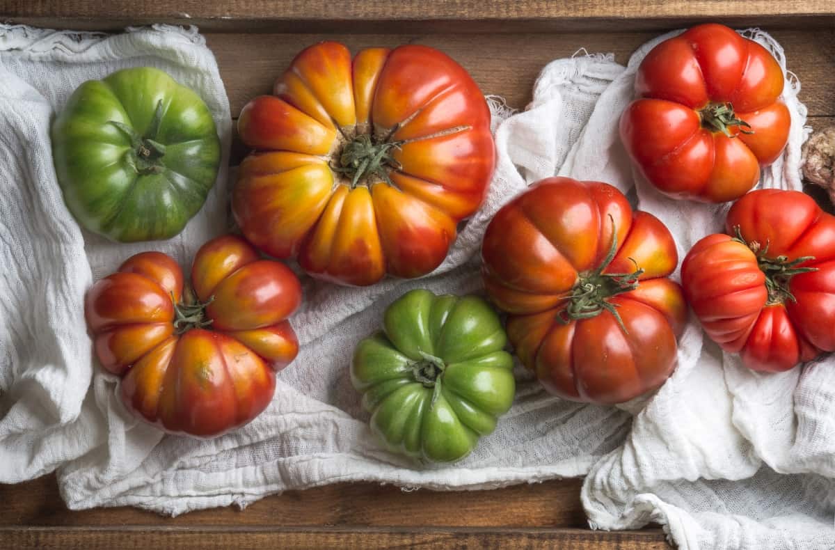 Colorful Heirloom Tomatoes