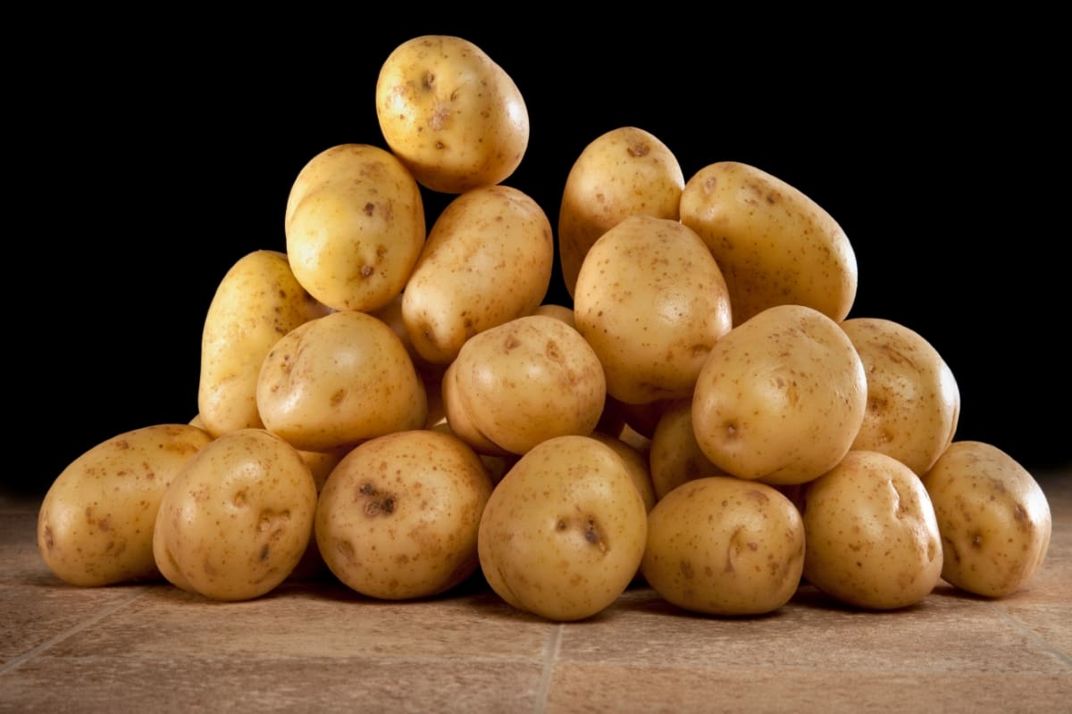 Properly Cleaning and Storing Hydroponically Grown Potatoes