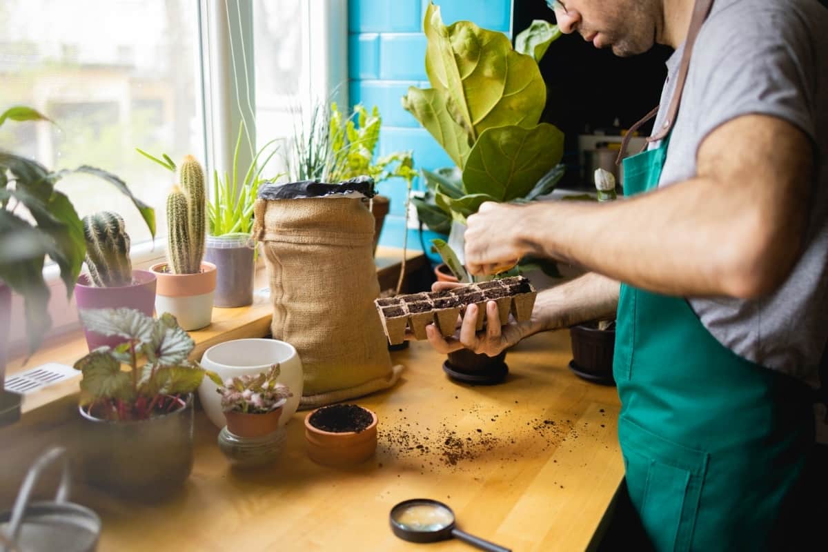 Planting Seeds in Biodegradable Pots