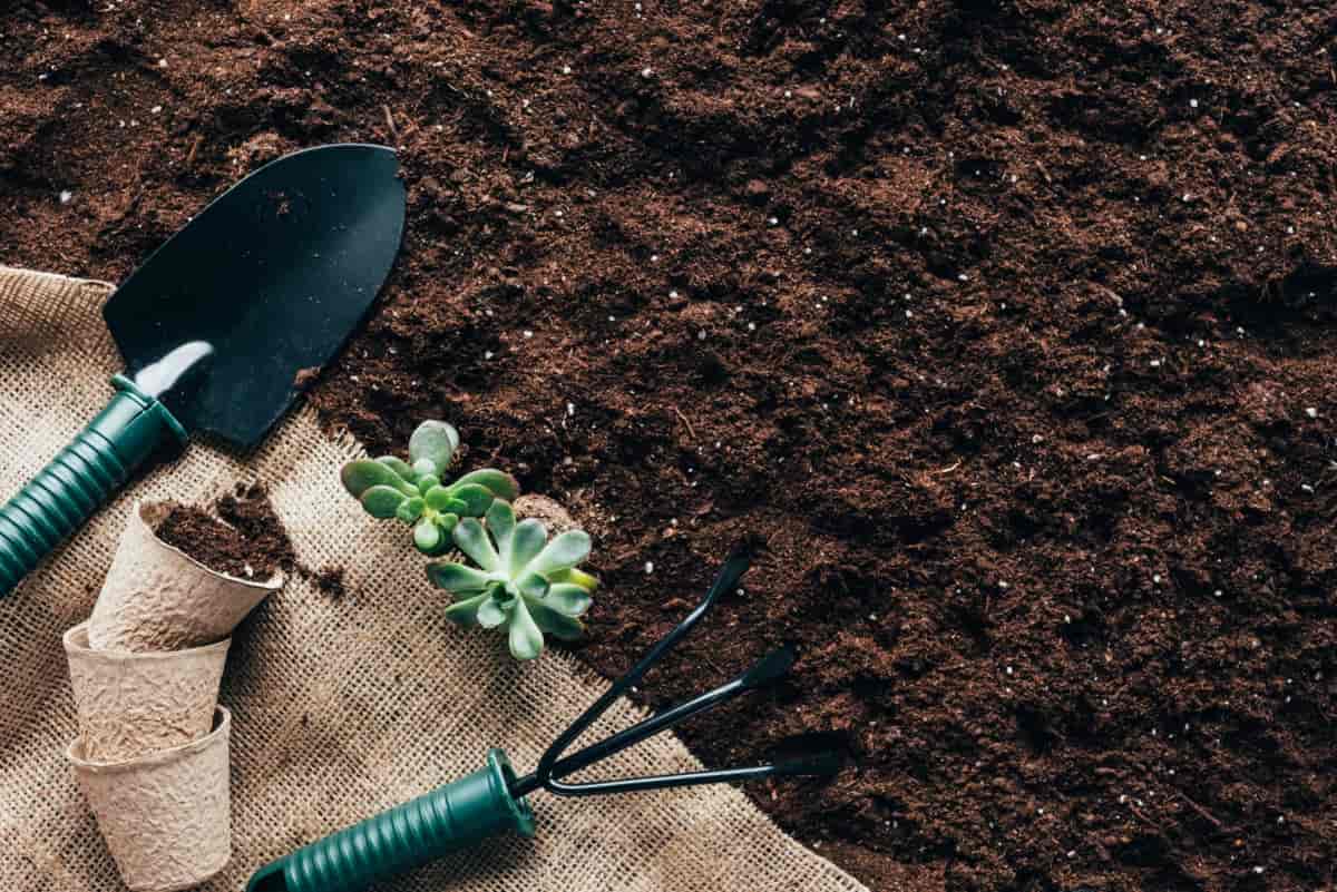 Gardening Tools, Flower Pots and Green Plants on Sackcloth 