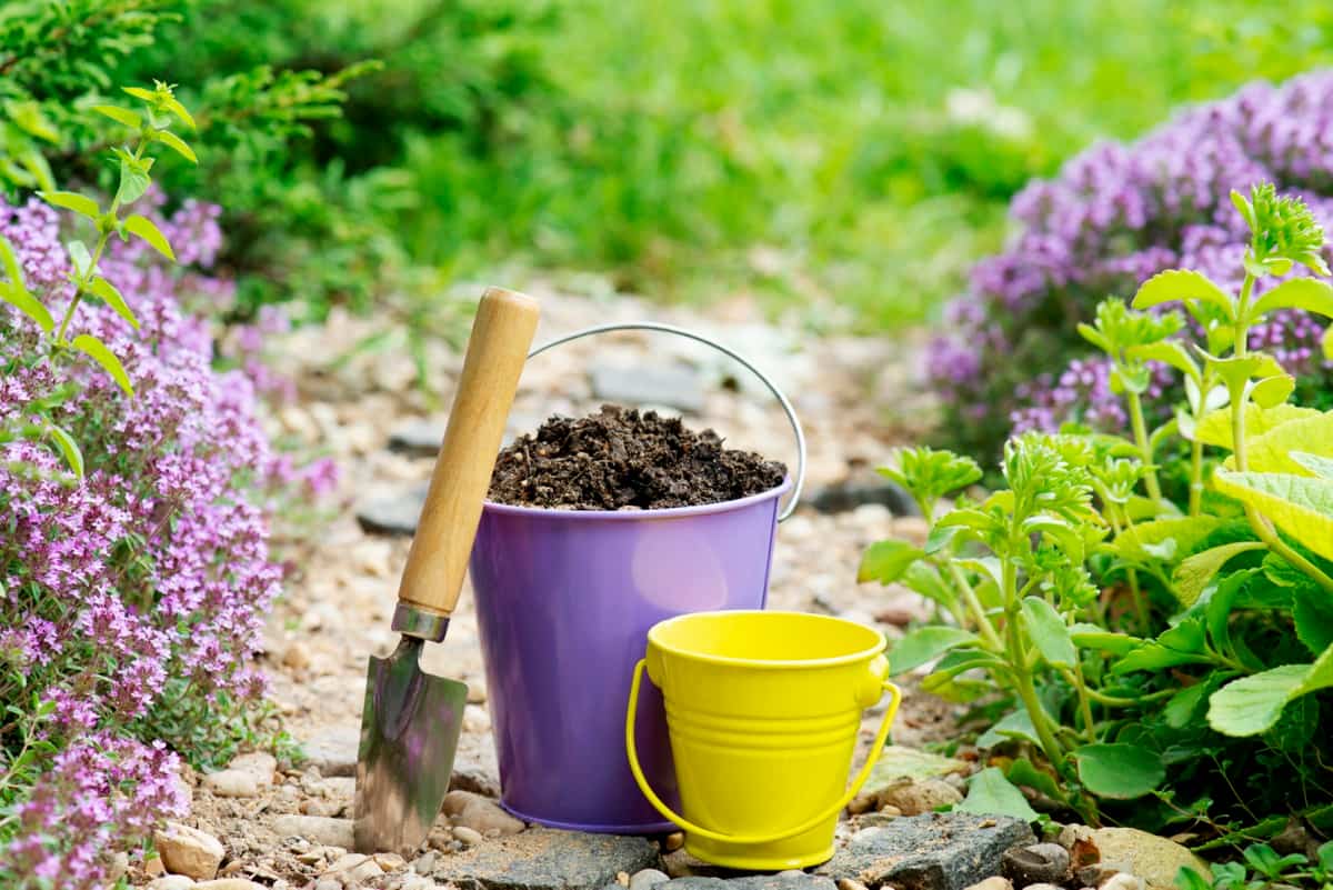 When to Add Compost to Your Garden 
