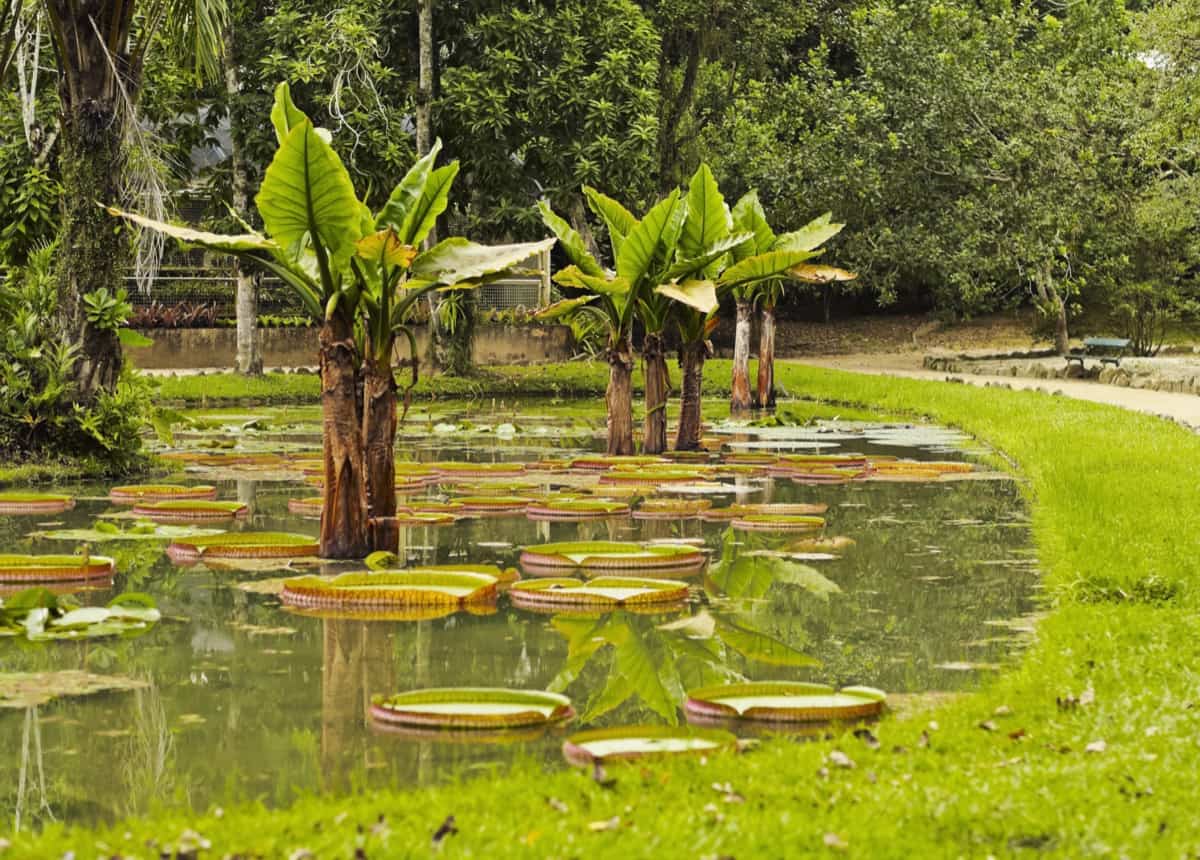 Best Botanical Gardens in Florida2