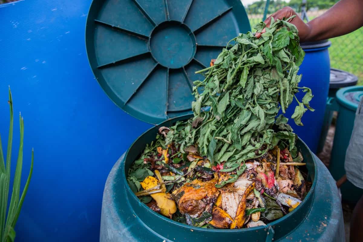 How to Make a Compost Bin From a Plastic Barrel1