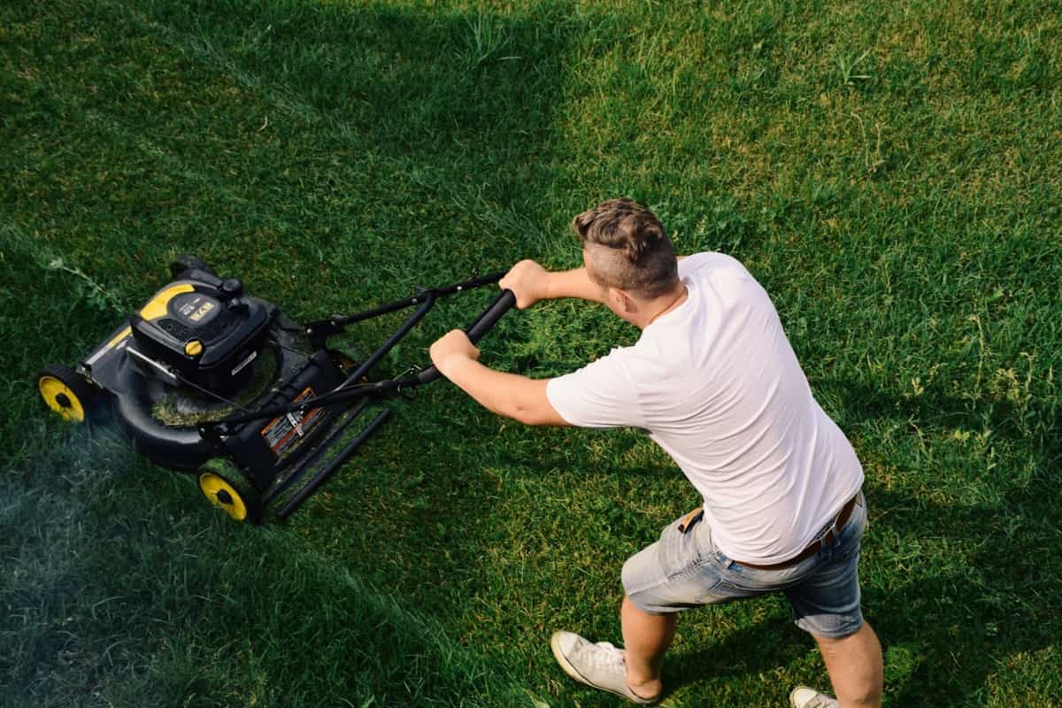 man mowing the lawn with gas lawn mower