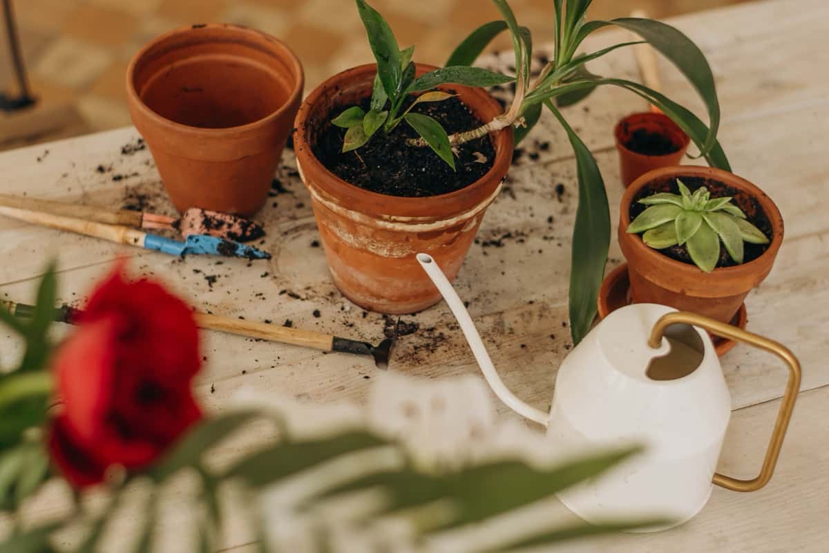 Indoor pots and gardening tools