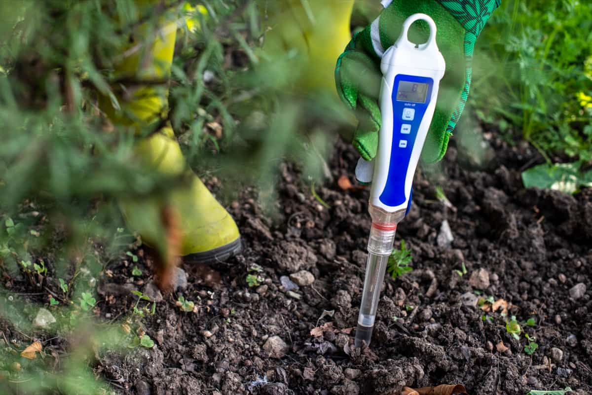 Digital pH meter for testing soil