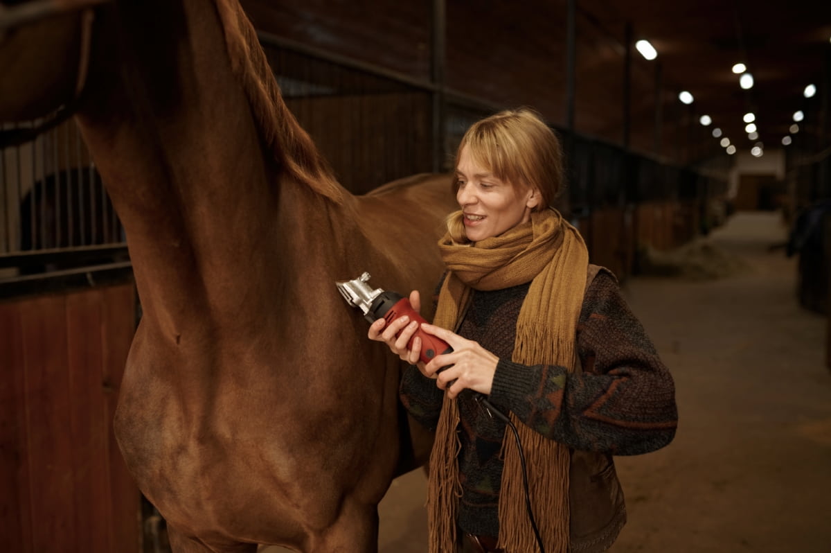 Grooming Horse with Electric Shaver