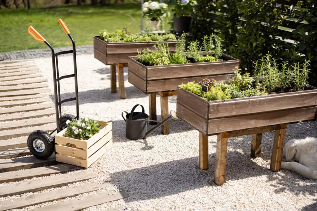 How to Build a Raised Garden Bed for Under $100