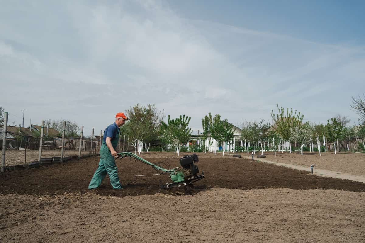 preparing the soil for spring gardening using power tiller