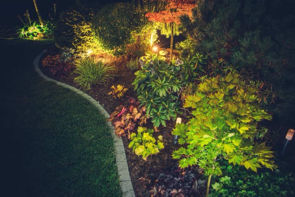 Illuminated Backyard Garden