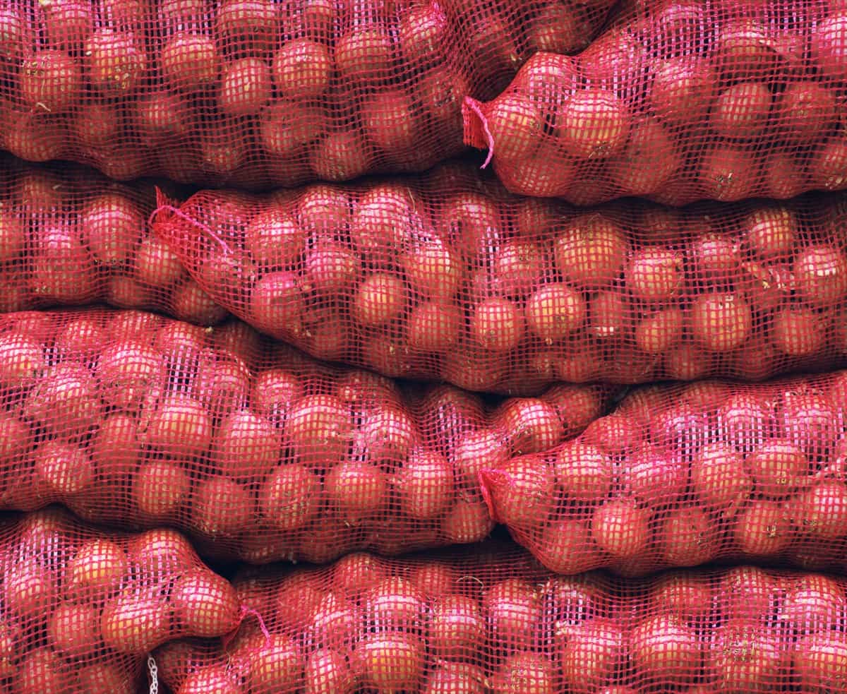 Onion Prices Likely to Rise in the Near Future