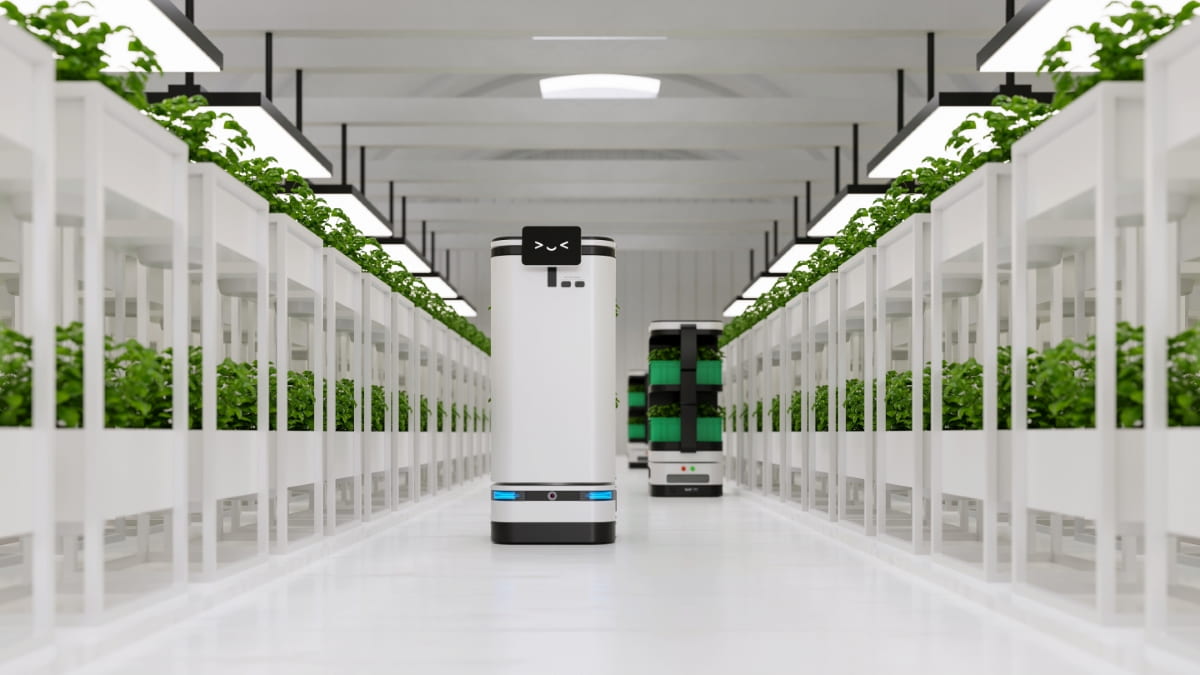 Ai Robot Taking Care of in Vegetable Plantation