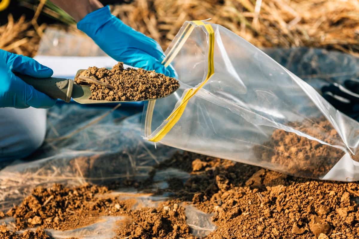 Collecting Soil Sample for Soil Testing