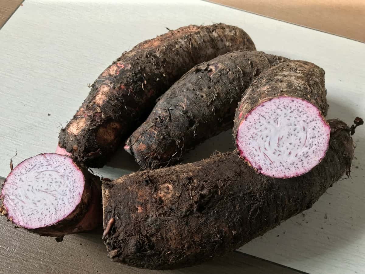 Different Types of Yams