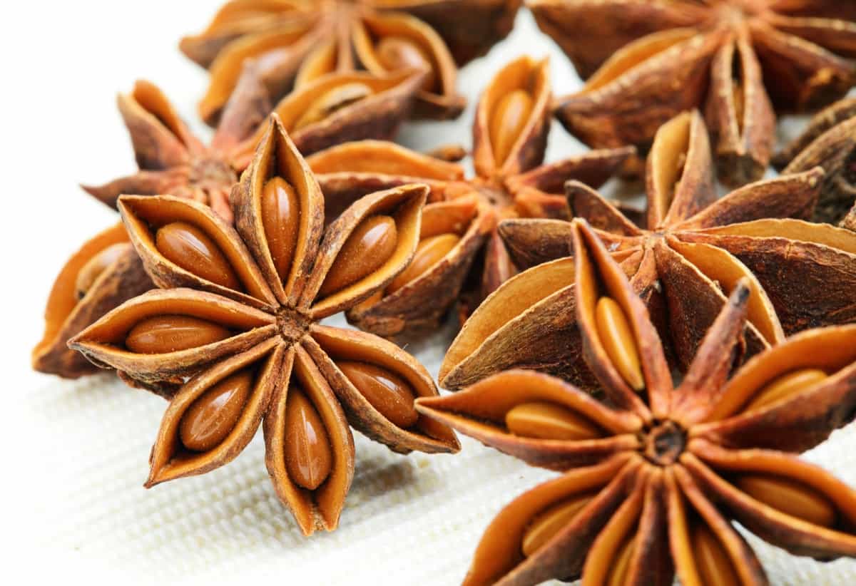 How to Grow Star Anise in the Home Garden