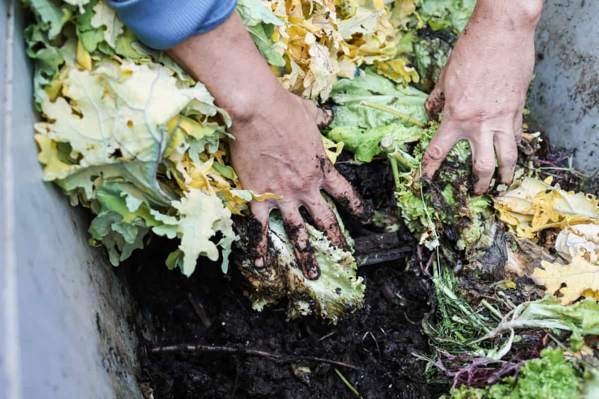 Holding Compost with Worms